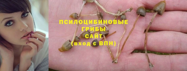 PSILOCYBIN Аркадак