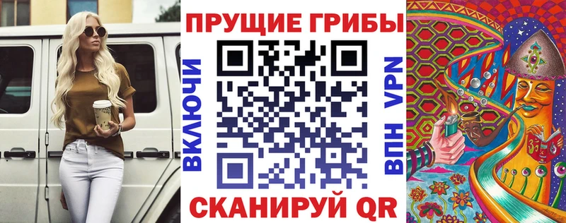 Псилоцибиновые грибы Psilocybine cubensis блэк спрут ONION Грайворон