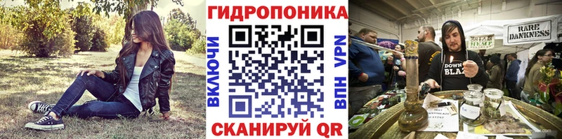 Конопля сатива Грайворон